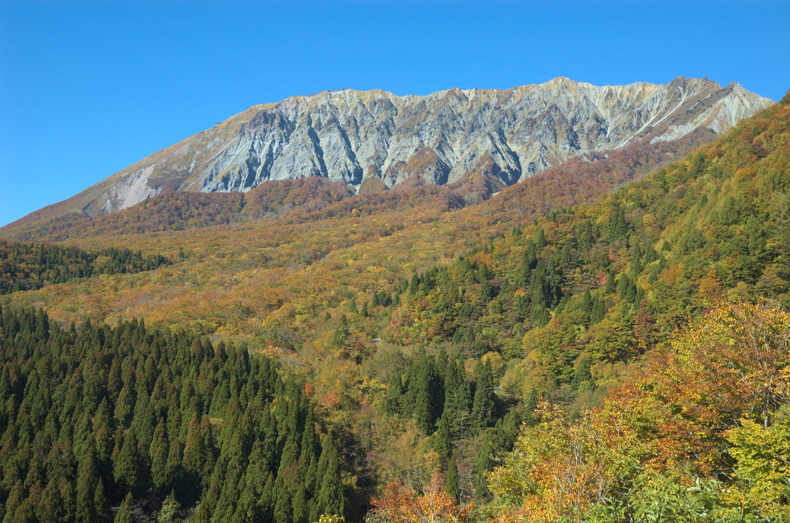 青空の下の大山の稜線と、手前の森の紅葉