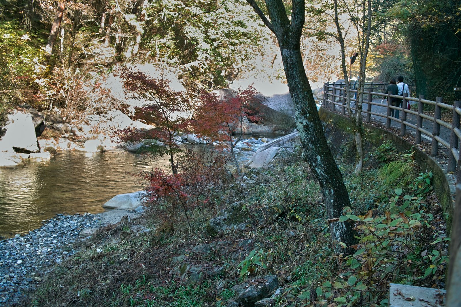 昇仙峡の遊歩道と渓流。川沿いのモミジが赤く色づいている