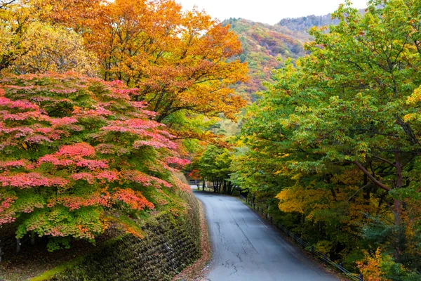 鹿沢園地の紅葉を紹介する節に掲載された画像