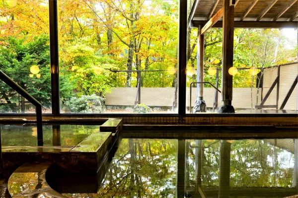 休暇村嬬恋鹿沢「雲井の湯」 泉質:マグネシウム・ナトリウム炭酸水素塩泉