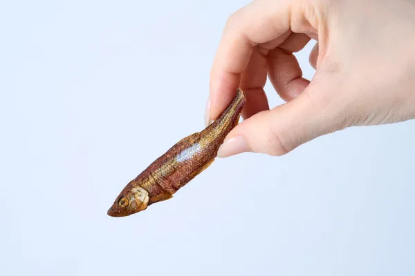 炙りわかさぎ 甘露煮仕立て 胡桃入りの商品イメージ