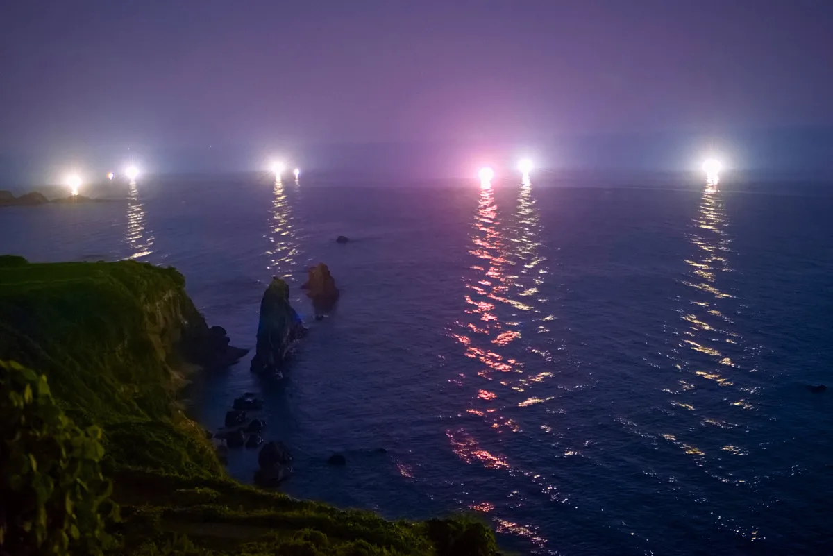 夜の海に点々と並ぶ漁火。手前は草の茂る岬で、海面に光が筋を引いている