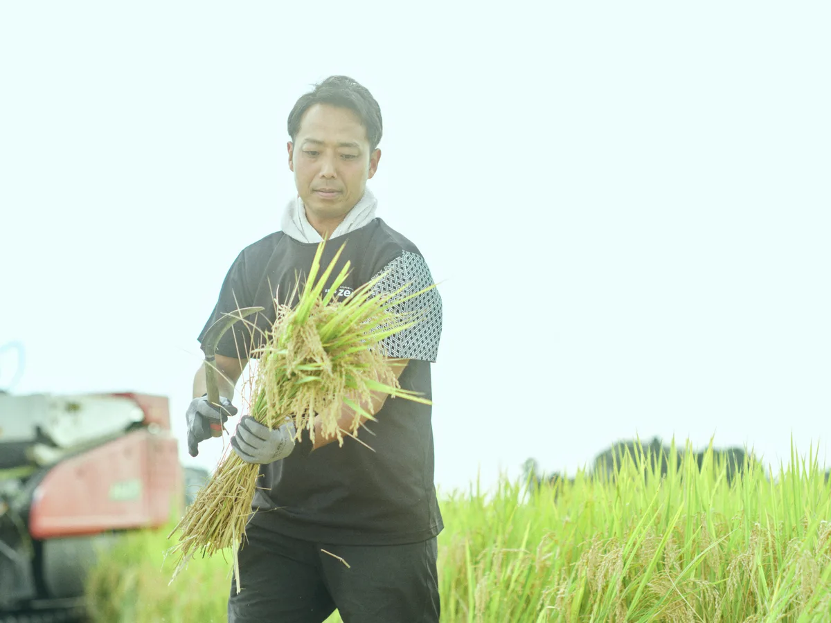 Rice Stockが開始、栃木の3品種と3つの買い方を比較のメインビジュアル