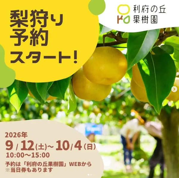 旬の利府梨を自分の手でもぎ取る、この時期だけの収穫体験