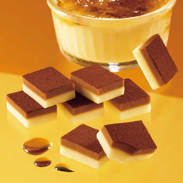 生チョコレート ジャンドゥーヤ