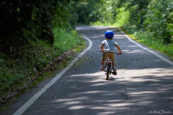 ヘルメットを着けて緑の中の道を自転車で走る子ども