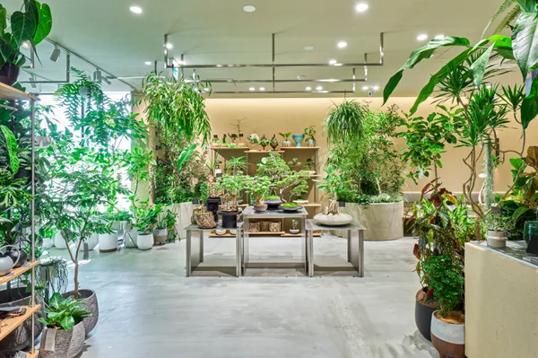 植物エリア