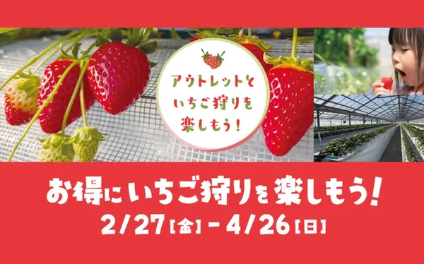 山武市成東のいちご農園と酒々井プレミアム・アウトレットのキャンペーンの画像