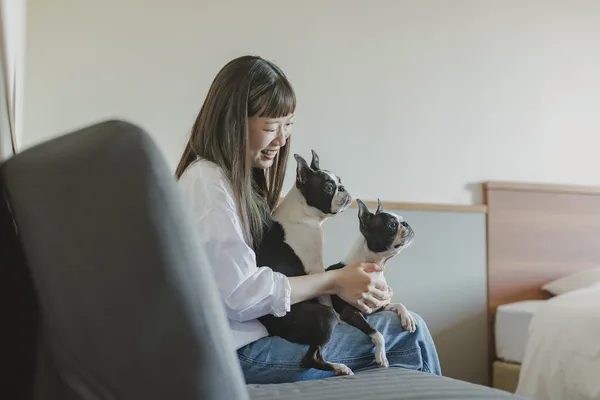 ドッグフレンドリールームの客室イメージ