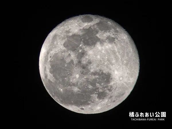 中秋の名月から満月へ移ろう月のイメージ