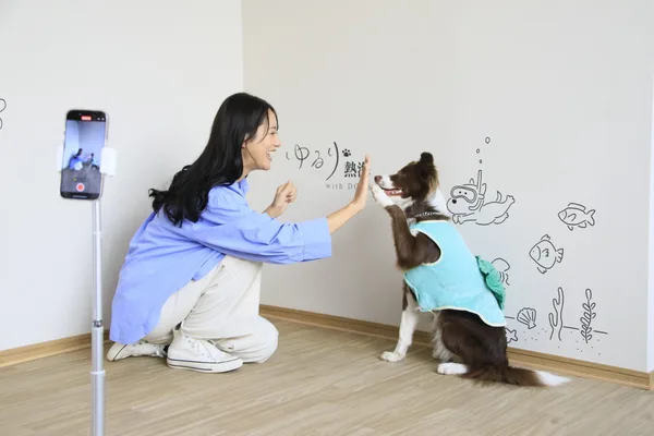 犬と楽しむ館内のフォトスポット