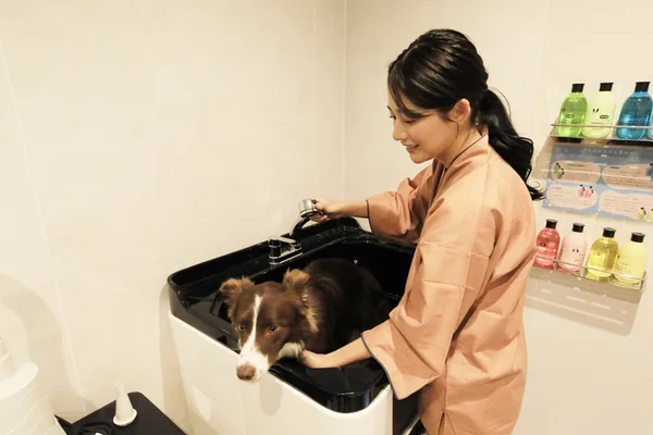 愛犬向けトリミング設備