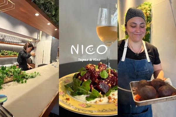 「「NICO」について」の節に掲載された画像