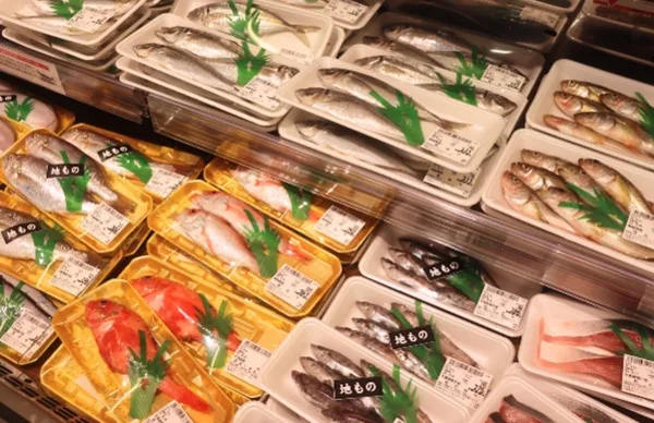 産地直送の新鮮な丸魚