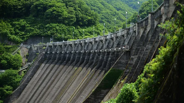 予約受付を開始する3つのプログラムの紹介に掲載された画像