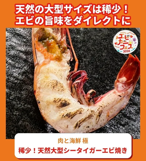 稀少!天然大型シータイガーエビ焼き