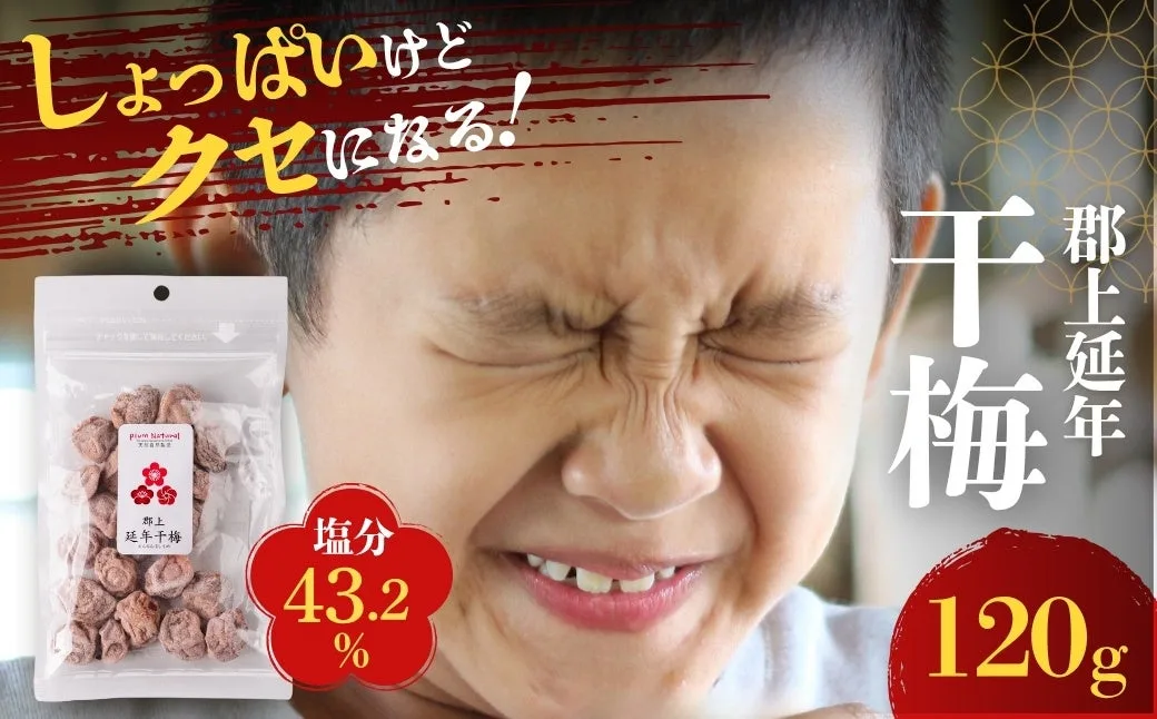 「郡上延年干梅」の説明に添えられた画像