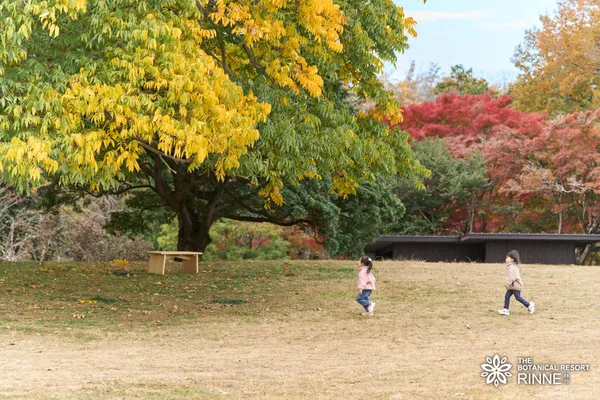 園内紅葉の様子