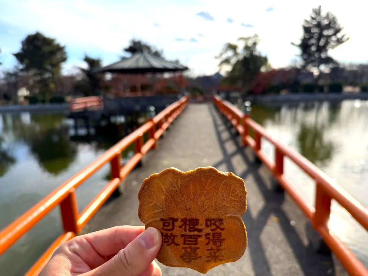 イベント参加のイメージとして掲載された画像