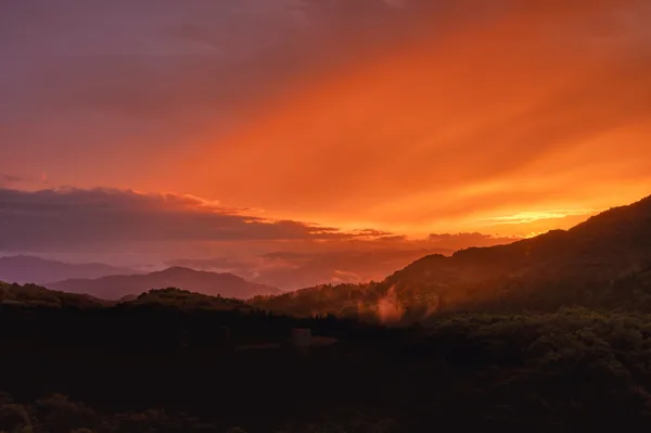 ルーフトップガーデンからのぞむ夕景