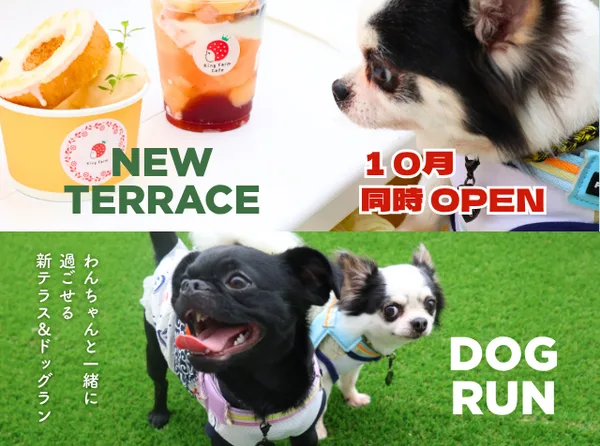 愛犬同伴カフェテラス＆新設ドッグラン