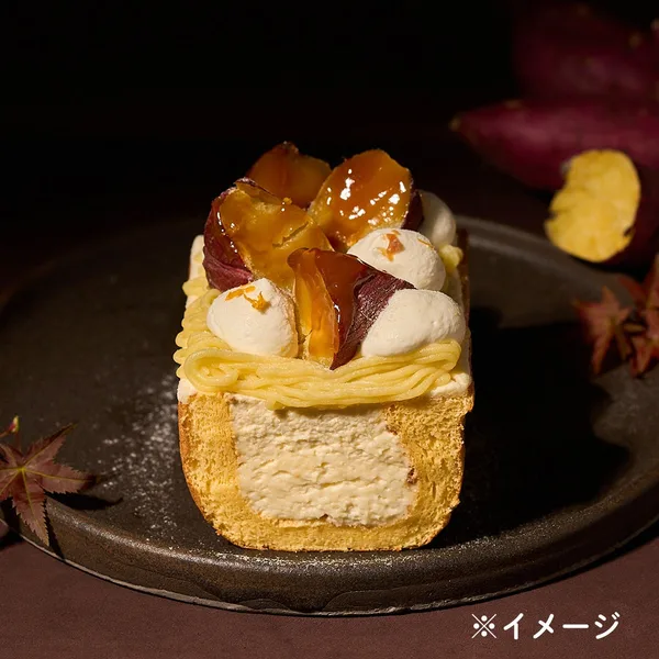 商品概要の節に掲載された画像
