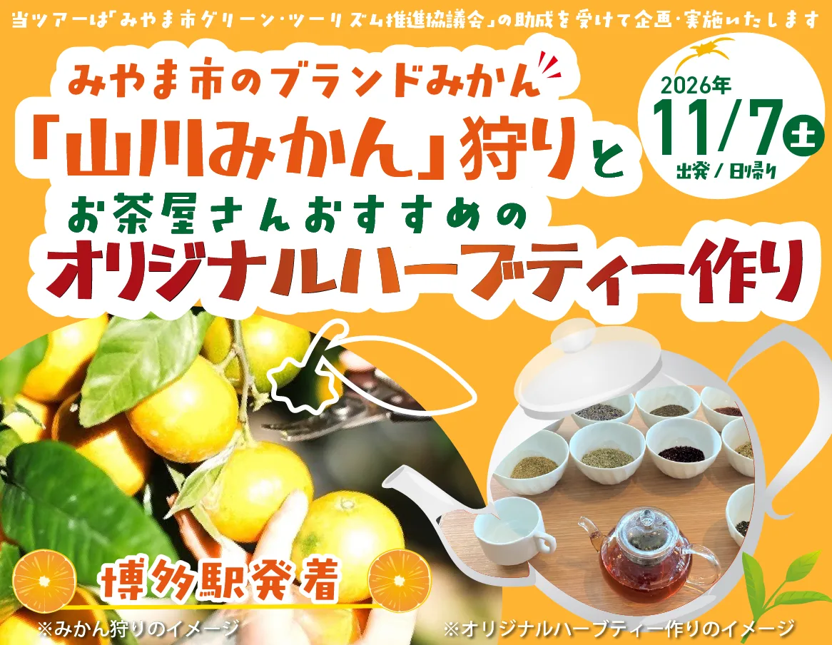 プレスリリース冒頭に掲載された画像