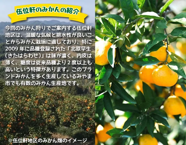 プレスリリースの「ツアー概要」の節に掲載された画像