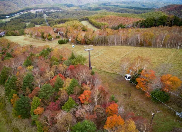 「紅葉ゴンドラ」の営業概要に掲載された画像