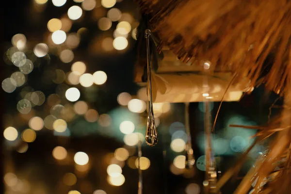 クリスマスツリーの点灯の紹介に掲載された画像