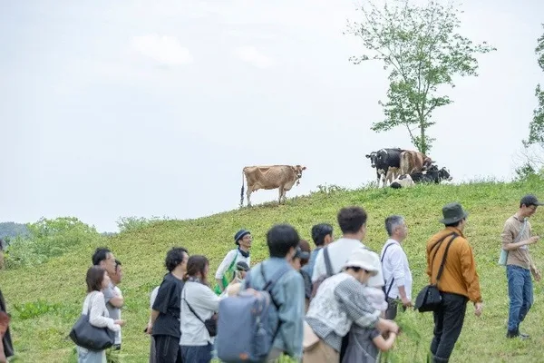 定期的に開催される「牧場お散歩ツアー」では、乳搾りや放牧地に入り酪農の仕事や牛の生態について学びます。
