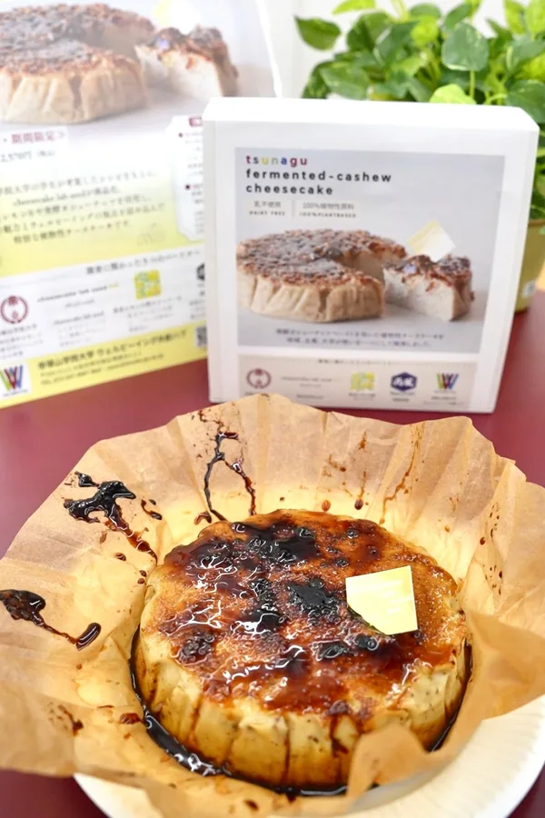 価格等の説明に掲載された画像