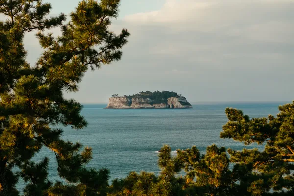済州島イメージ