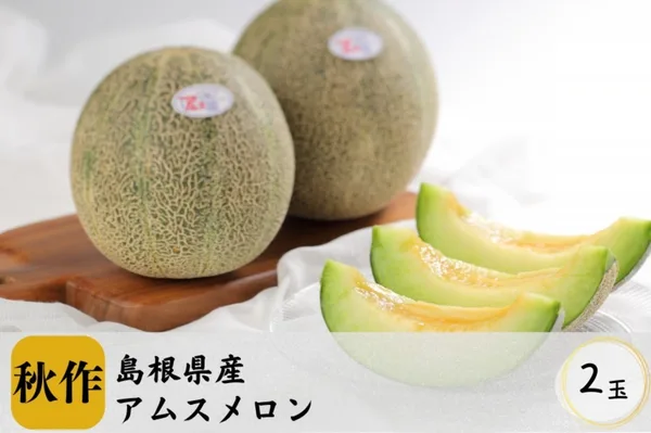 島根県産 アムスメロン