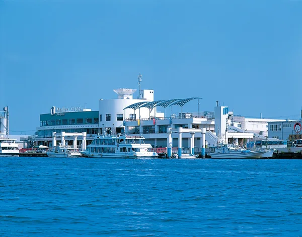 「そしていつか、塩竈市へ。」に掲載された画像