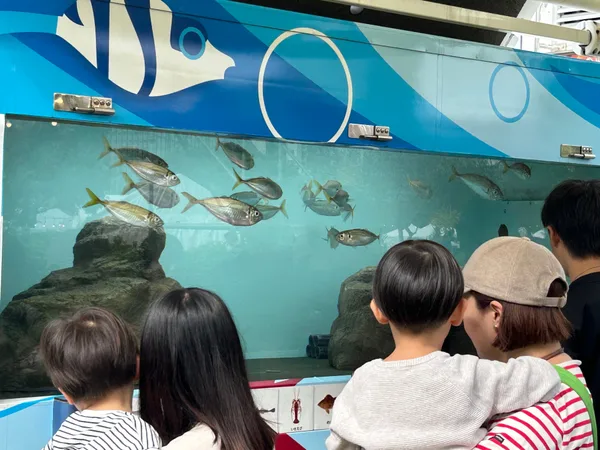 水産業エリアイメージ