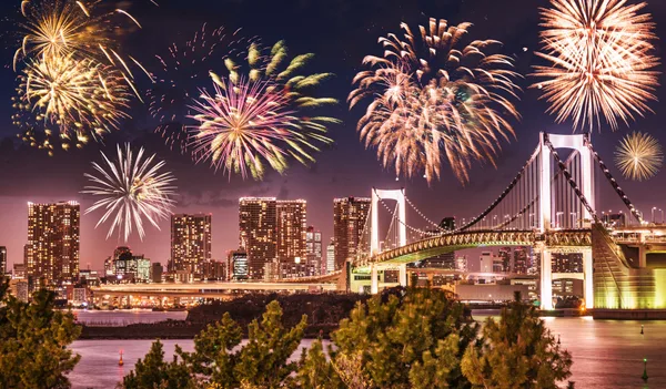 東京ウォータウェイズの花火観覧クルーズの案内に掲載された、東京湾大華火祭の紹介画像
