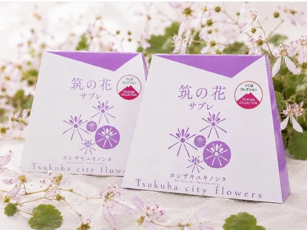 市の花「ホシザキユキノシタ」をモチーフにした「筑の花サブレ」