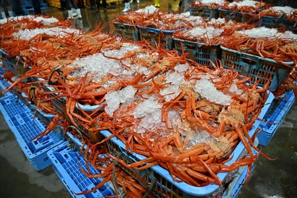 魚津港に水揚げされた紅ズワイガニ