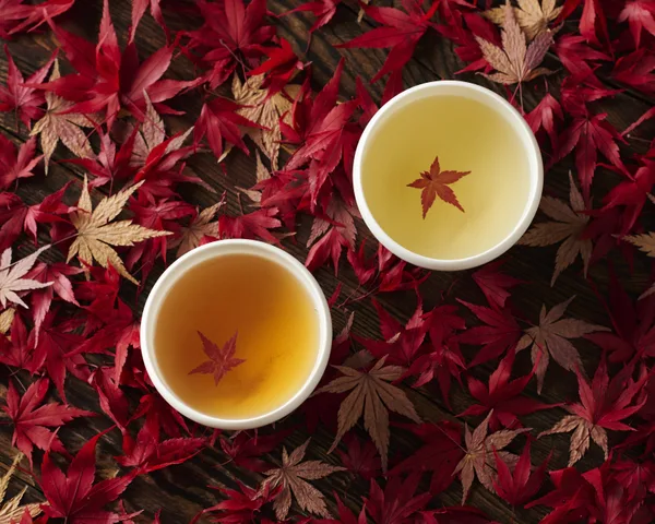 京都 京玄米茶 上ル入ルの紅葉狩り(煎茶玄米・ほうじ茶玄米、各4g×2包、計4包入り)1,301円