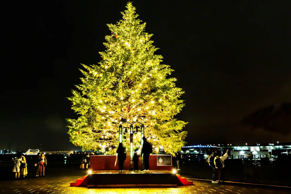 クリスマスツリー イメージ