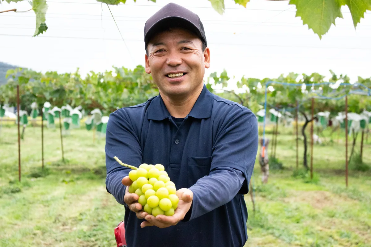 Y's Grape Quartetのリリースの1枚目に掲載された画像