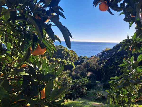 HOTEL FARO manazuru の冬の体験ステイの節に掲載された画像